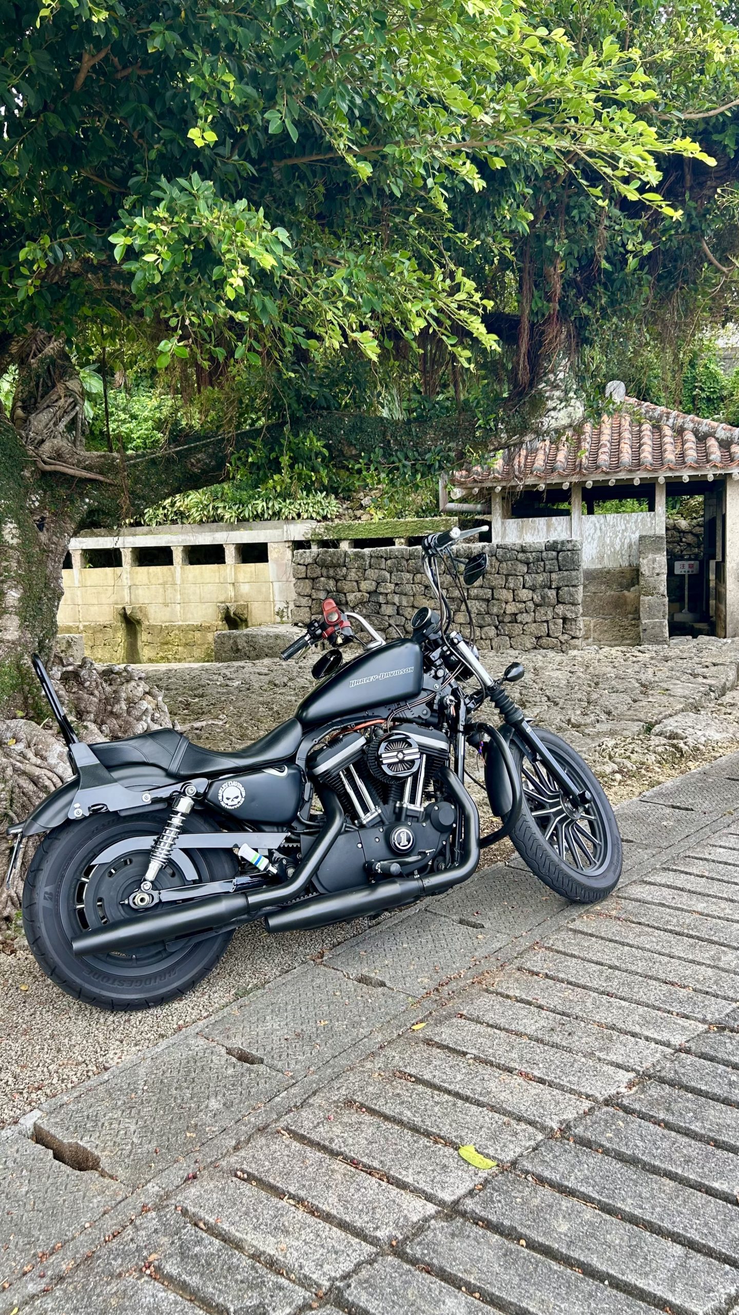 バイク旅-南城市